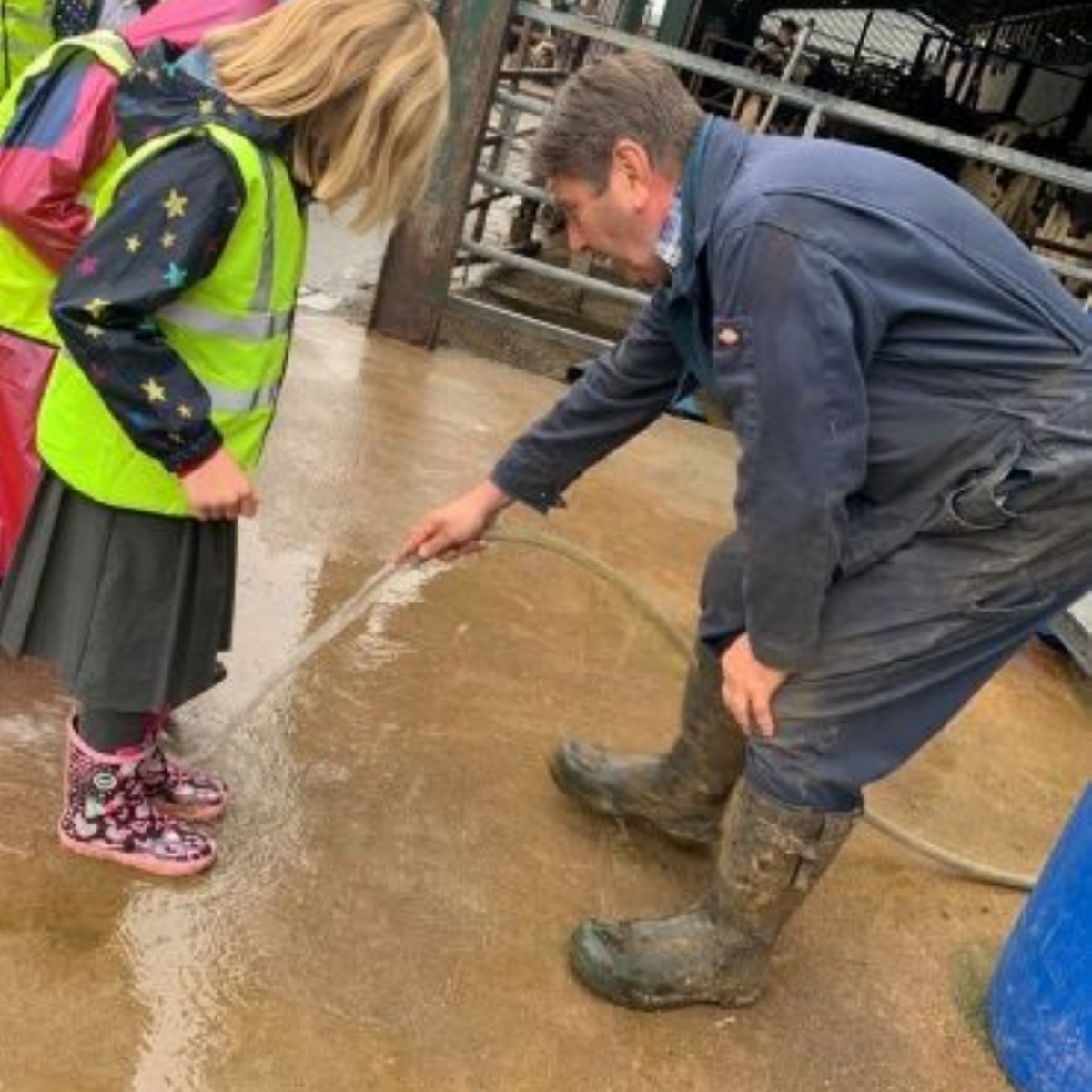Husbands Bosworth Primary School Dairy Farm Visit